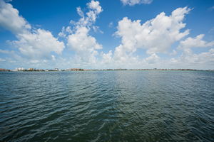 Dock5 View