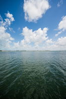 Dock6 View