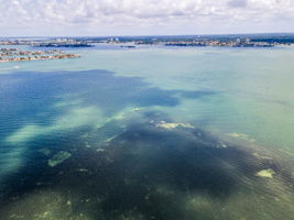 Aerial (17)