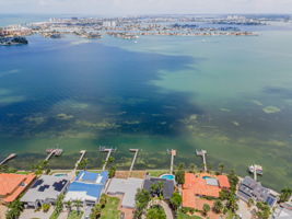 Aerial (2)