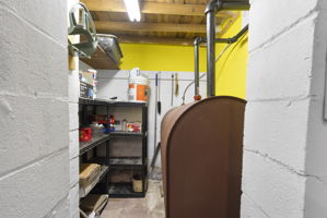  Photo 44