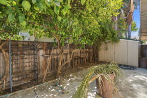  Photo 35