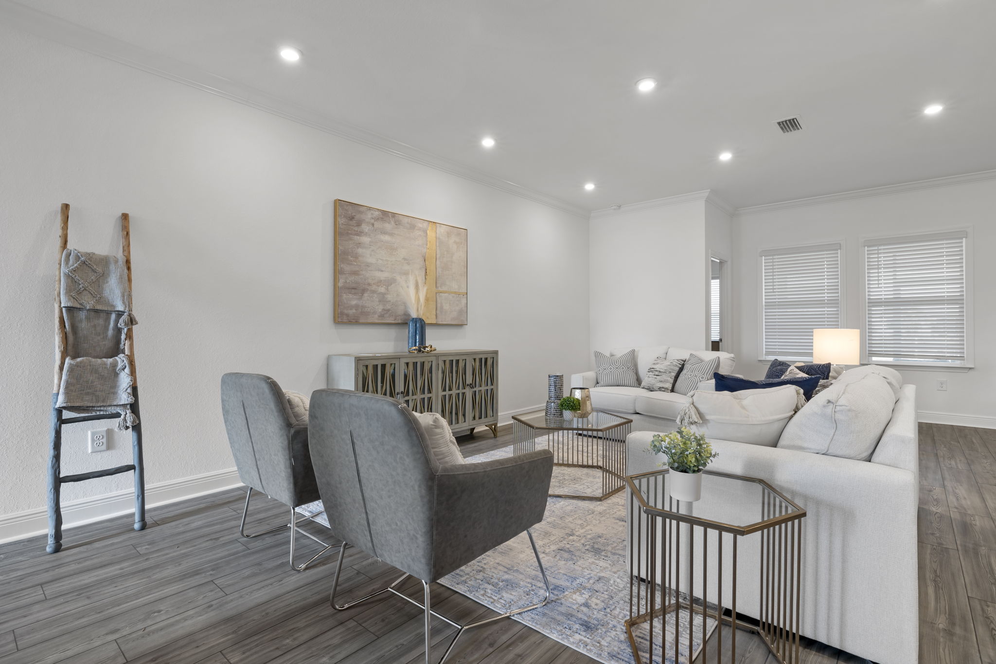 Living Room 1