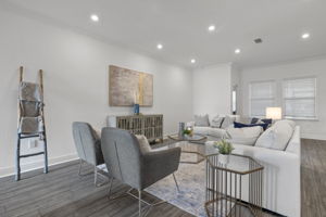 Living Room 1
