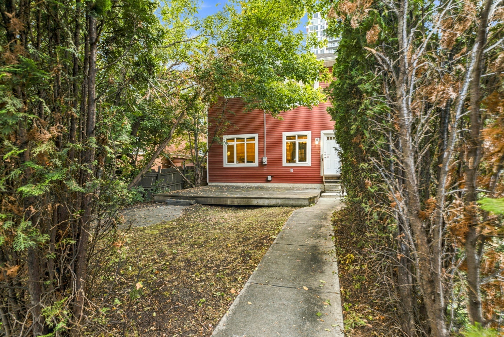  Photo 46