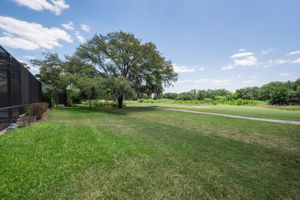 Backyard 1
