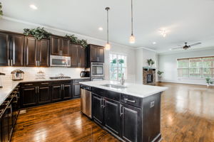 19 Kitchen w Living Room View A
