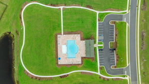 Amenities (11)