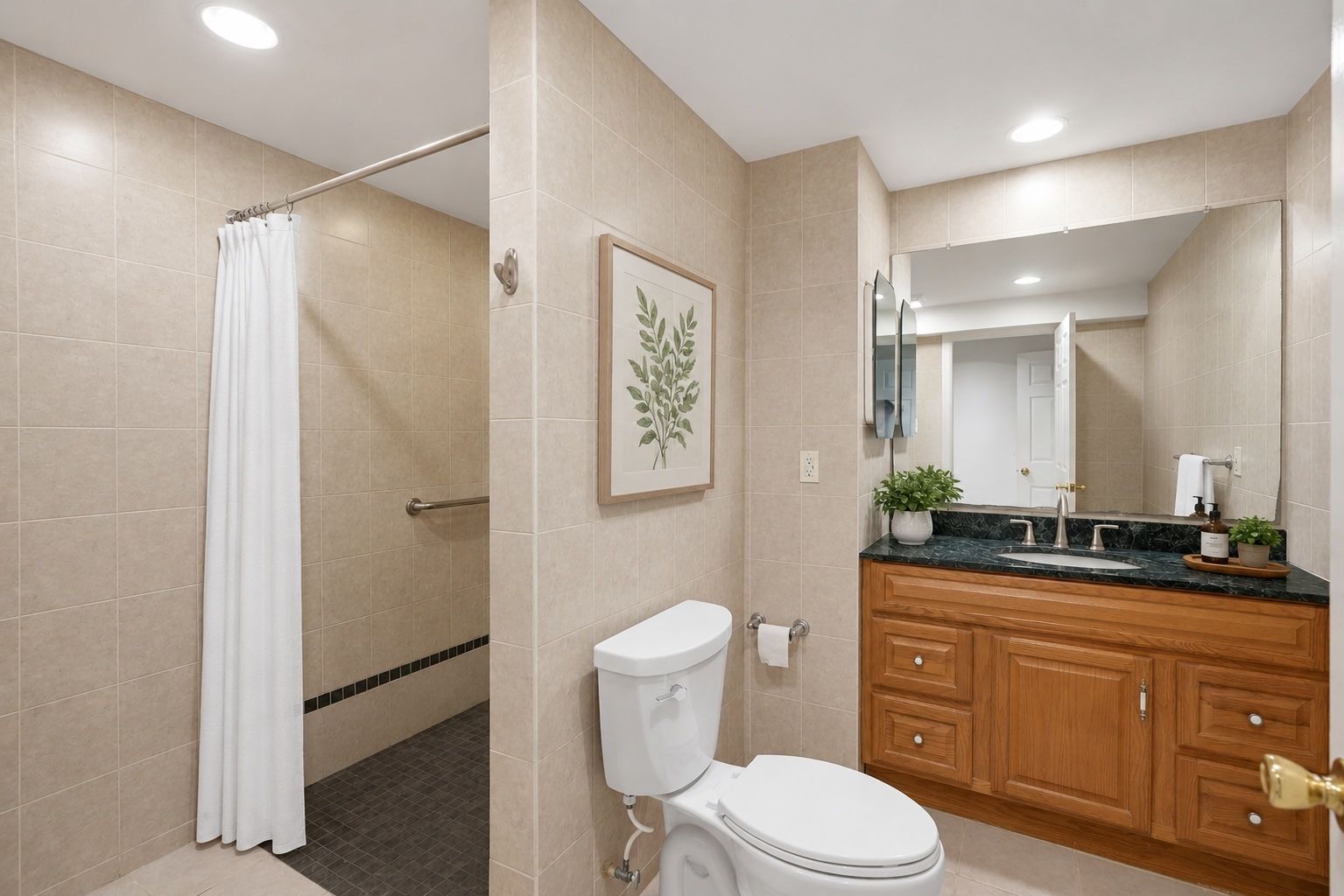 Lower Level Bathroom