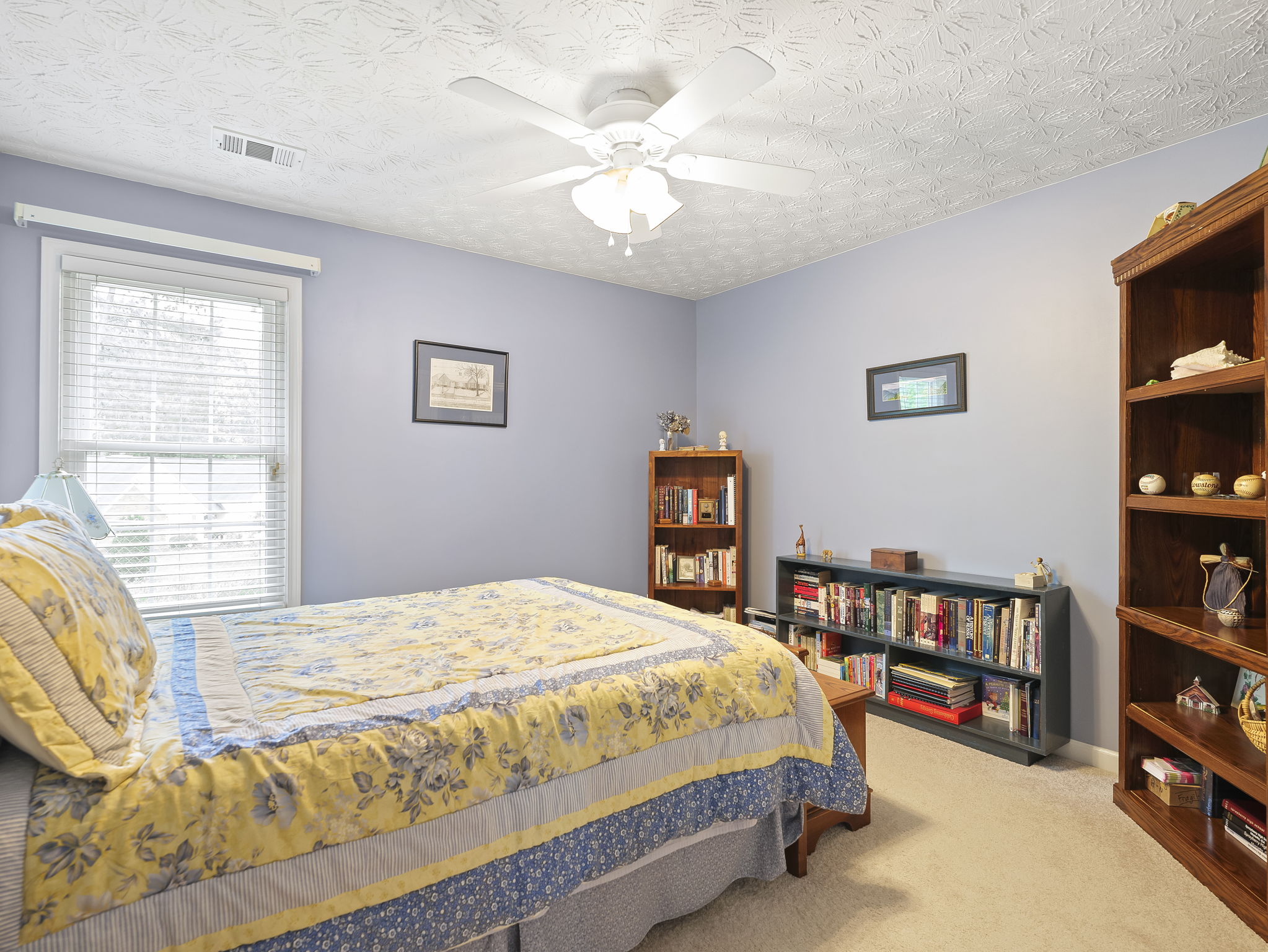 1015 Spring Ives Dr, Lawrenceville, GA 30043, USA Photo 25