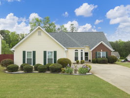 1015 Spring Ives Dr, Lawrenceville, GA 30043, USA Photo 0