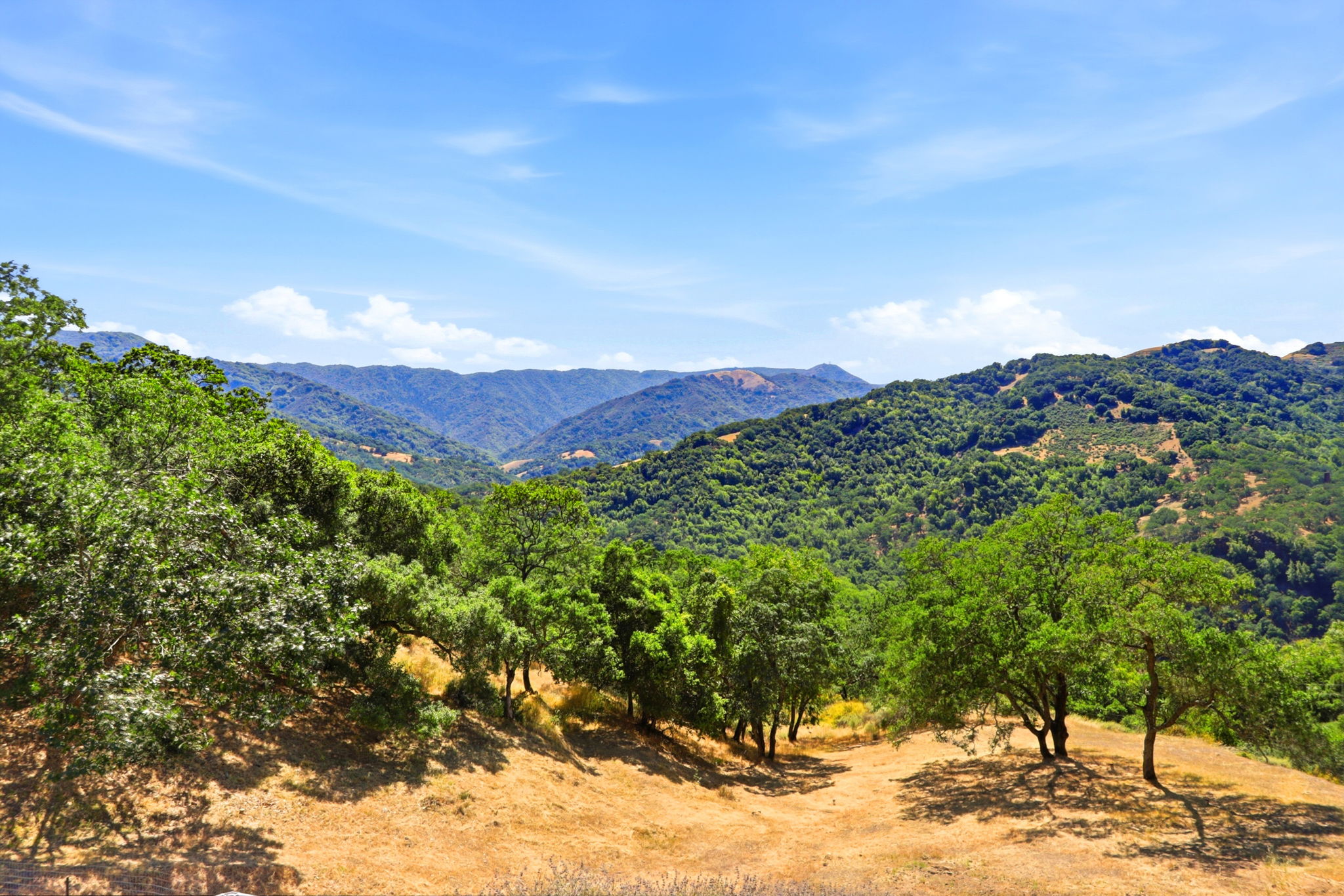 059_F8_10150 Cinnabar Hills Rd