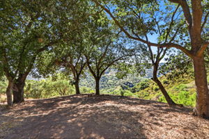 069_F8_10150 Cinnabar Hills Rd