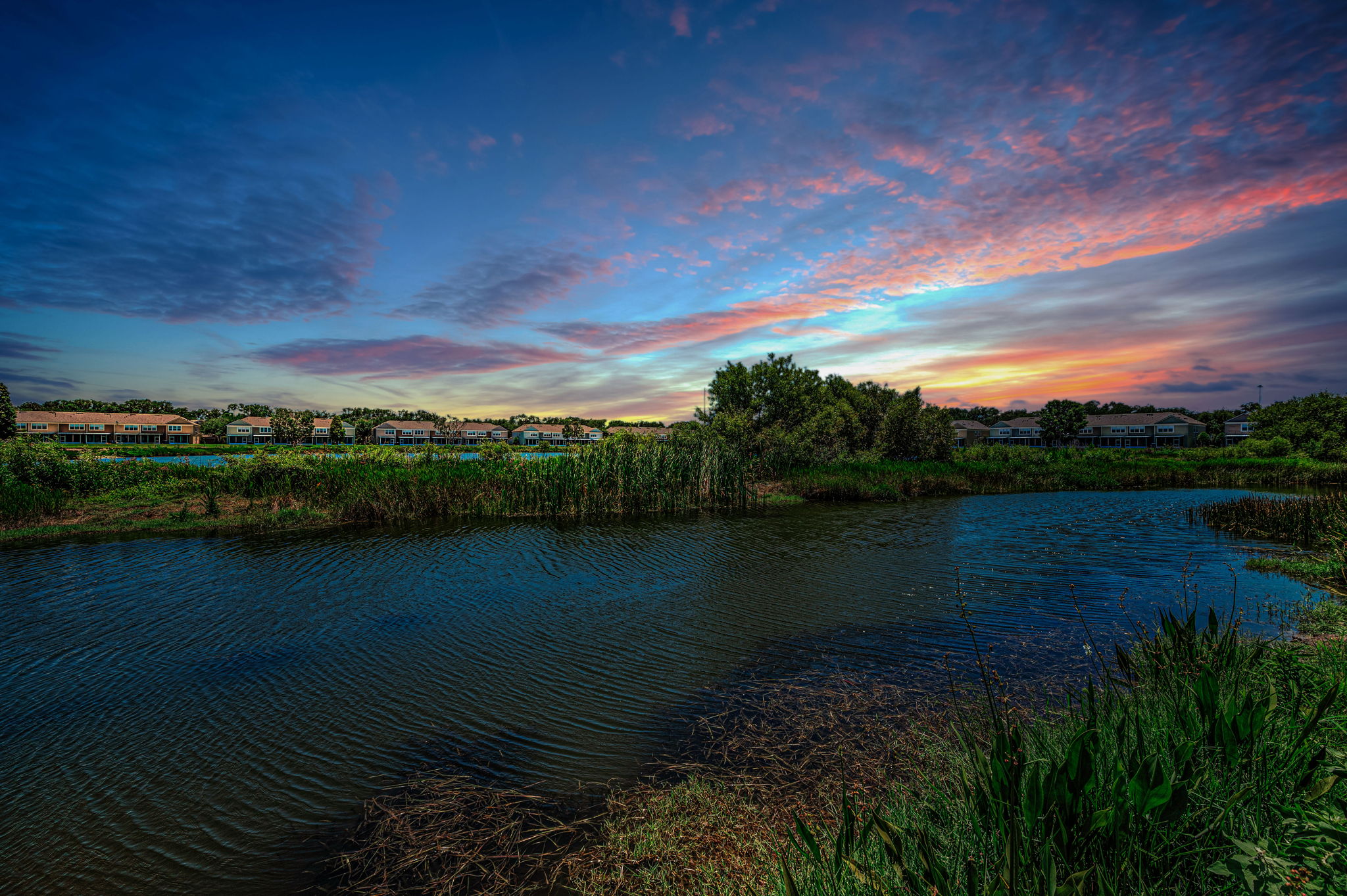Backyard View1