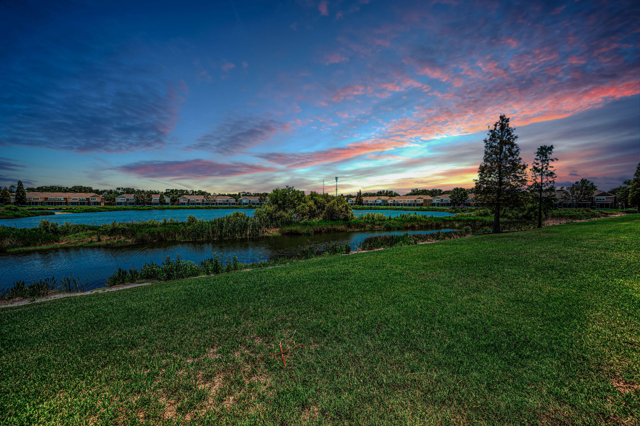 Backyard1