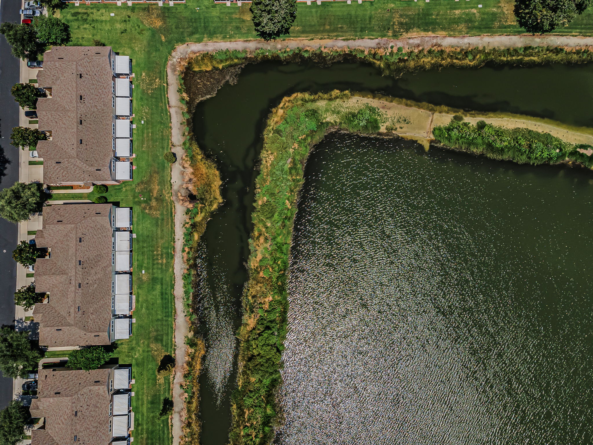 Aerial (11)
