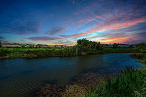 Backyard View1