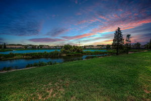 Backyard1