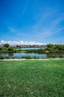 Backyard2