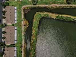 Aerial (11)