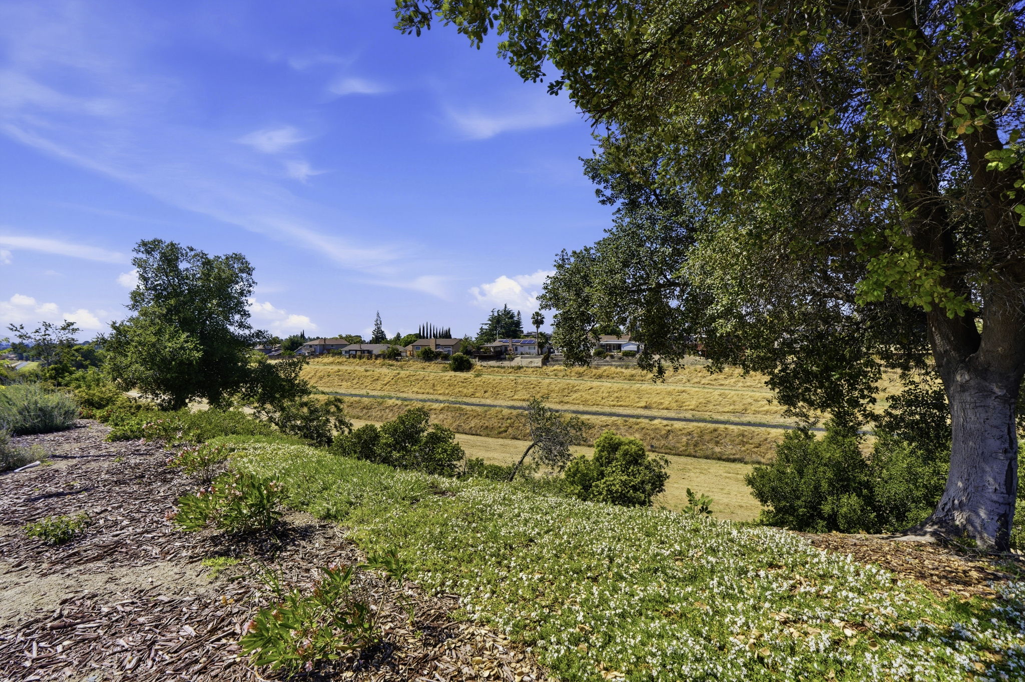037_F8_1016 Carpinteria Dr