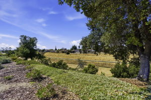 037_F8_1016 Carpinteria Dr