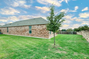 Back of House