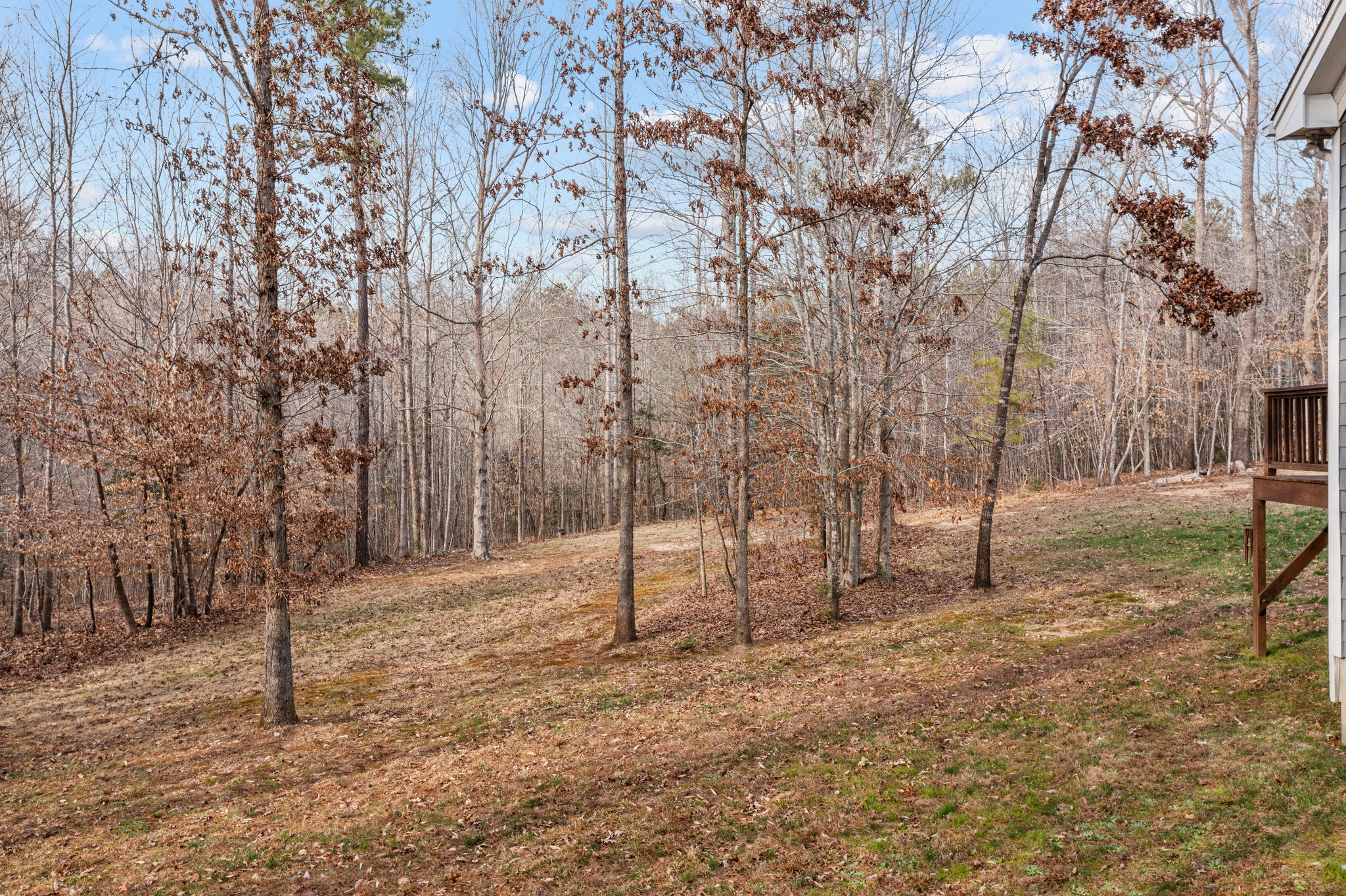 1016 Emeron Rd, Wake Forest, NC 27587, USA Photo 44