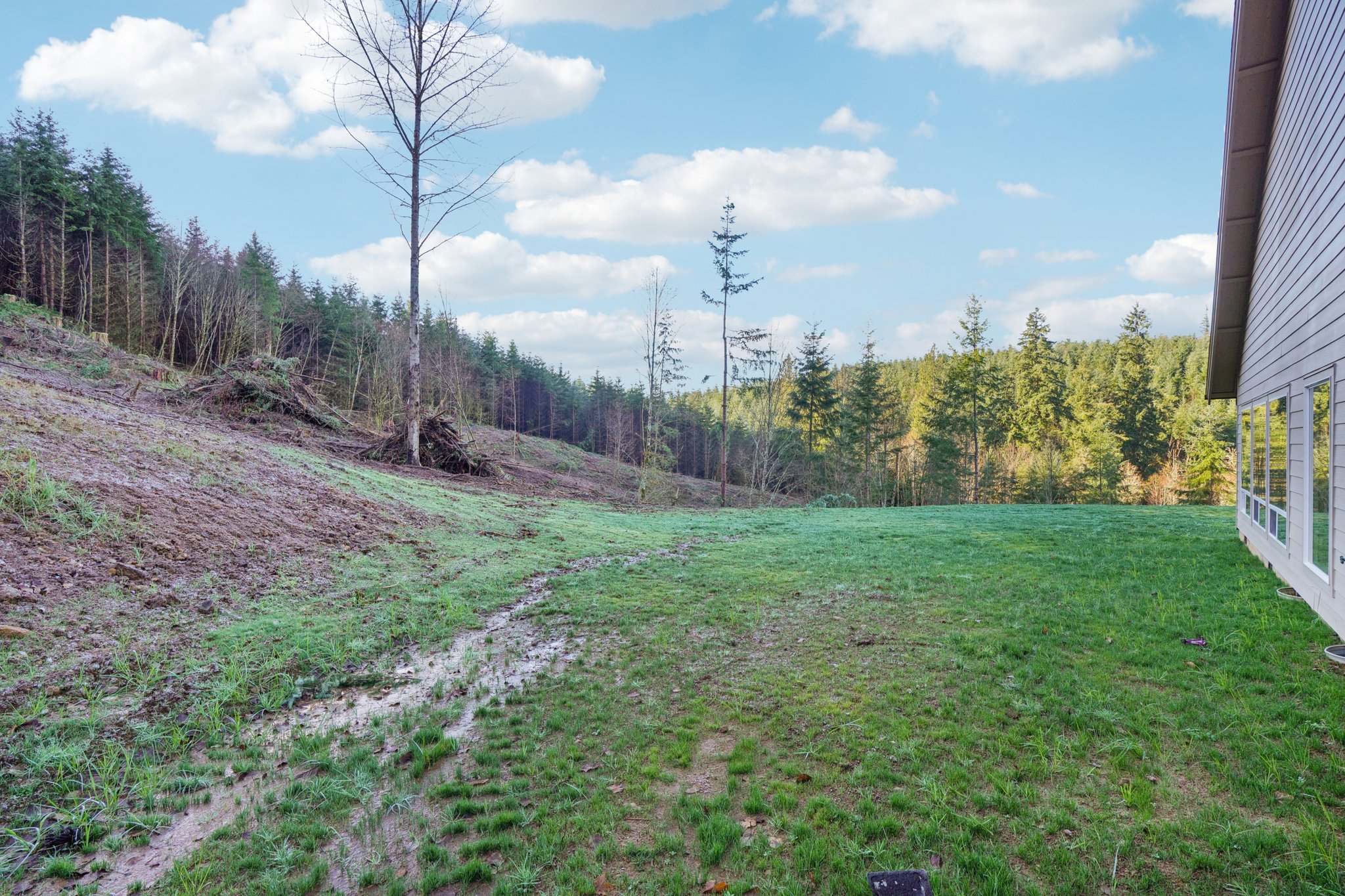 Lincoln Ln-S3112-054.jpg