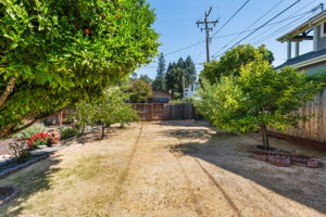 Fruit Trees