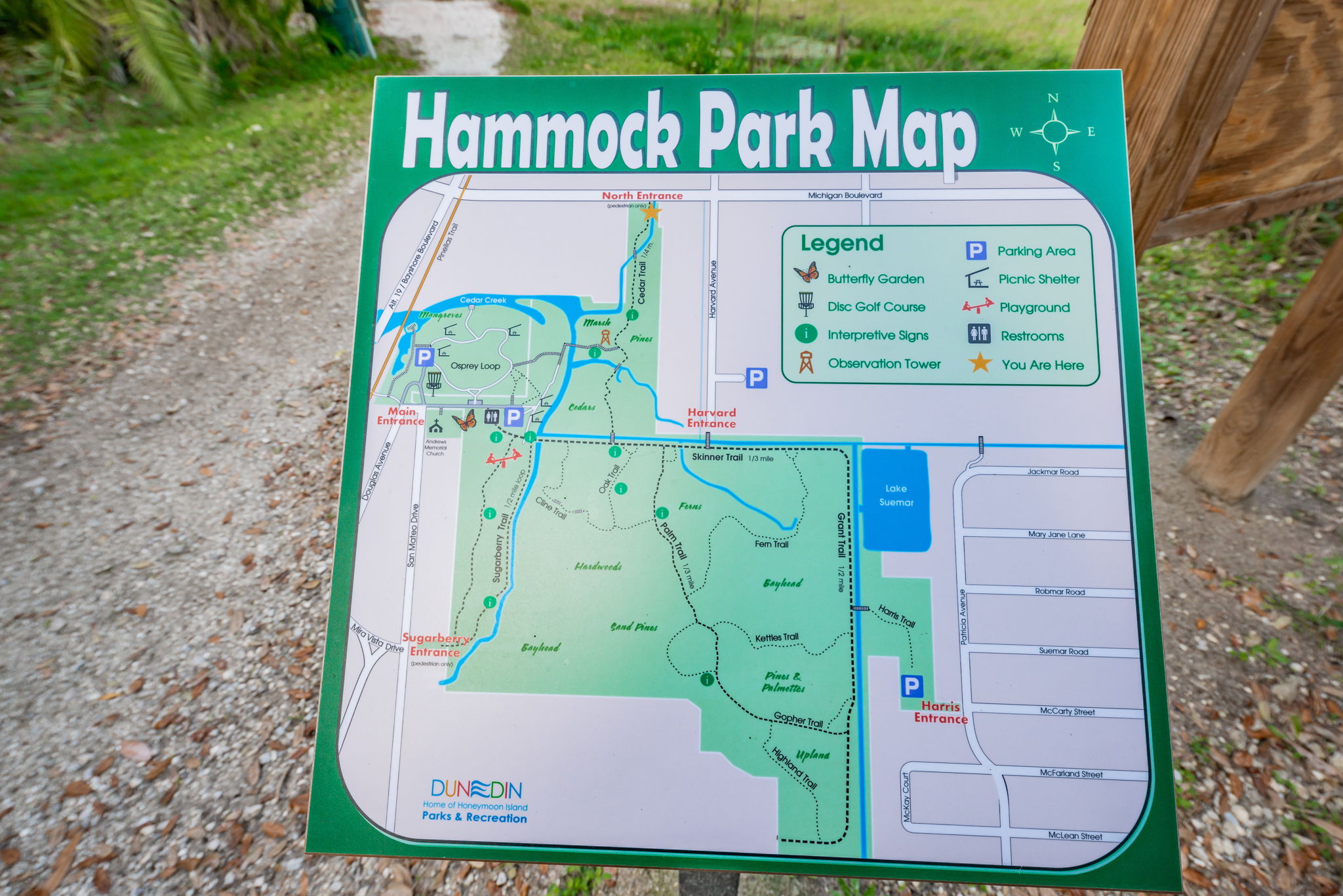 128-Hammock Park