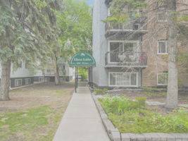  Photo 0