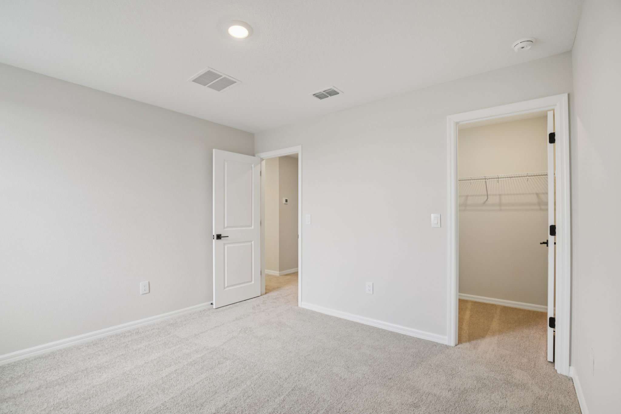 Hidden Hammock Lp-S2702-029r