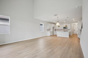 Hidden Hammock Lp-S2702-007r