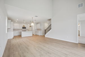 Hidden Hammock Lp-S2702-008r