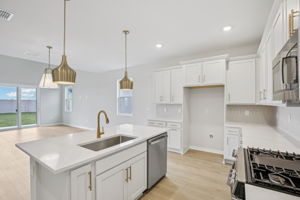 Hidden Hammock Lp-S2702-013r