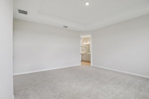 Hidden Hammock Lp-S2702-021r