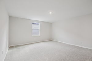 Hidden Hammock Lp-S2702-026r