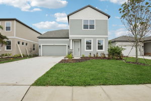 10167 Hidden Hammock Lp-S2802-001