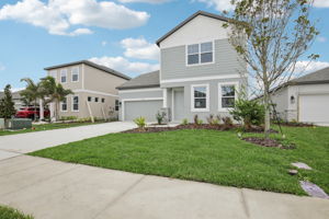 10167 Hidden Hammock Lp-S2802-002