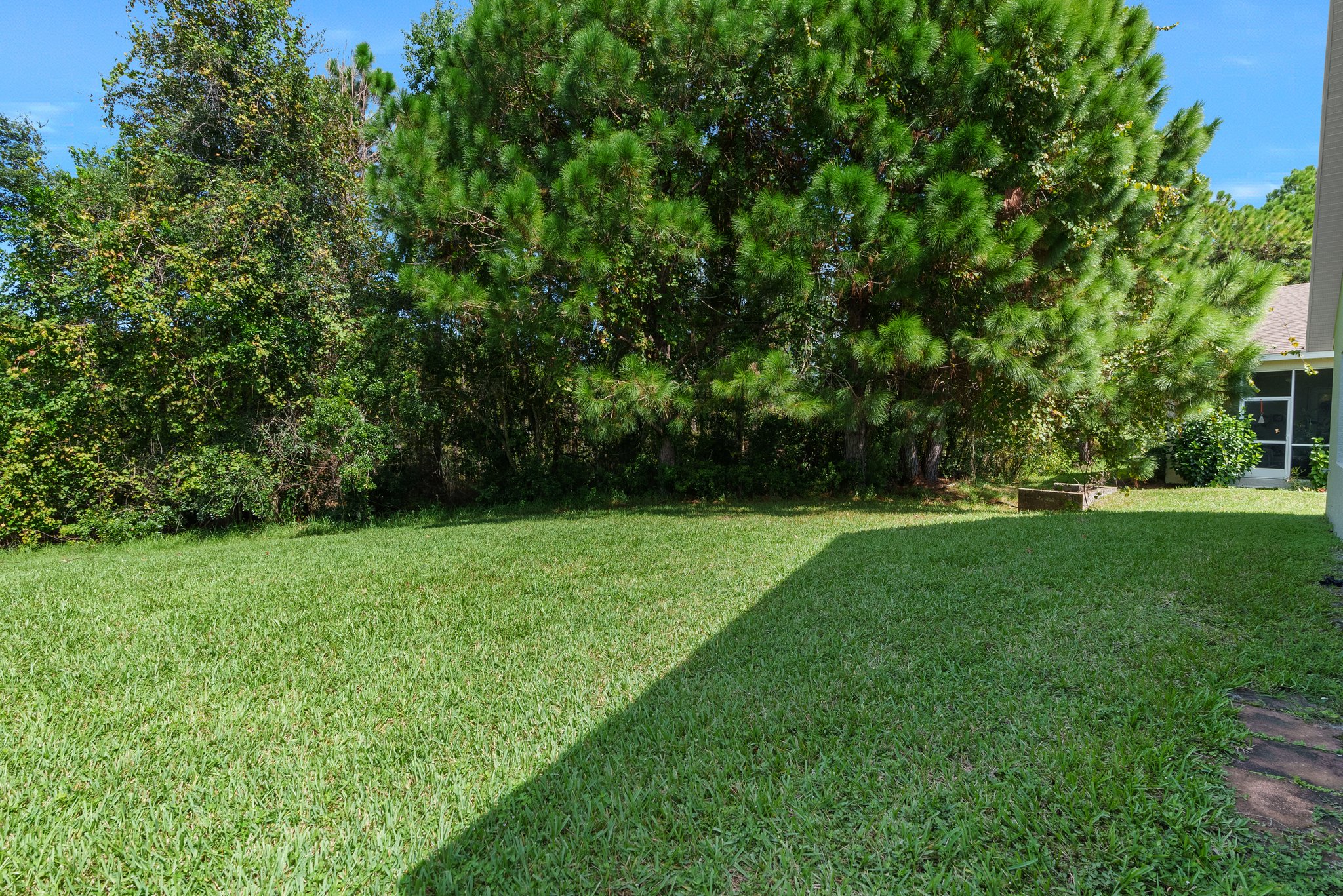 10169 Holly Berry Dr, Spring Hill, FL 34613, USA Photo 33