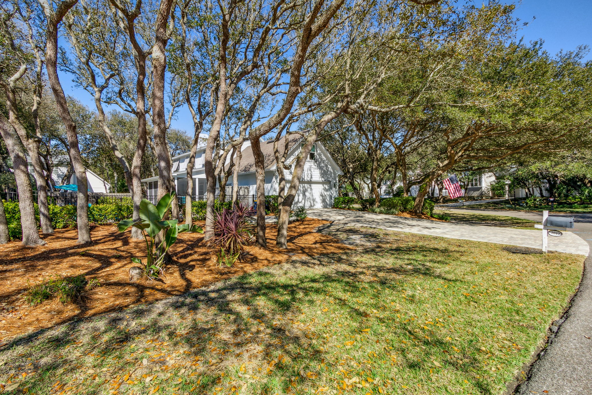 Side Yard