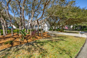 Side Yard