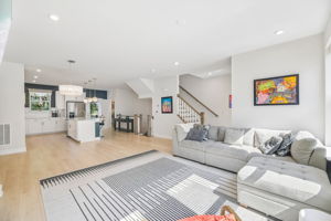 Open Concept Modern Living