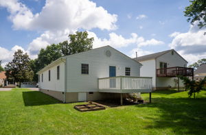 Photo 41
