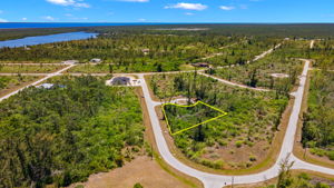 Arial View 2 -Lot Lines