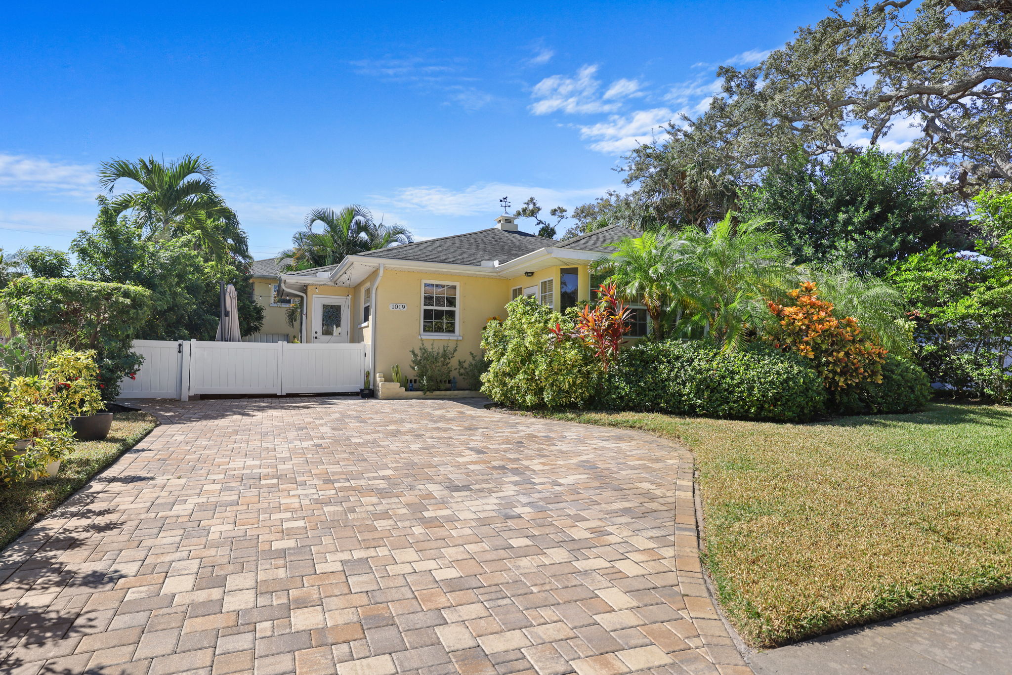 Front - 495A8193 (1)