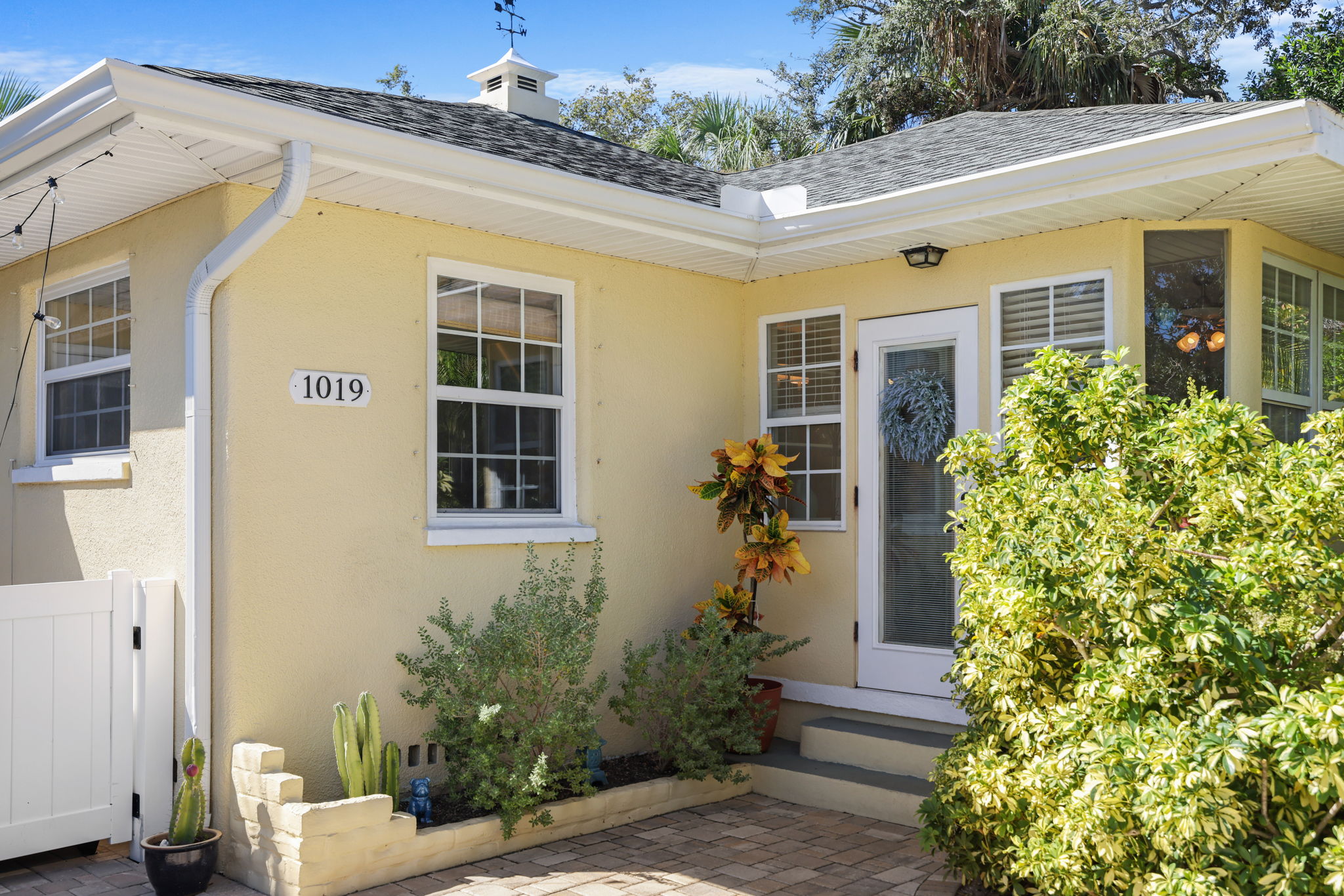 Front CU - 495A8206 (1)