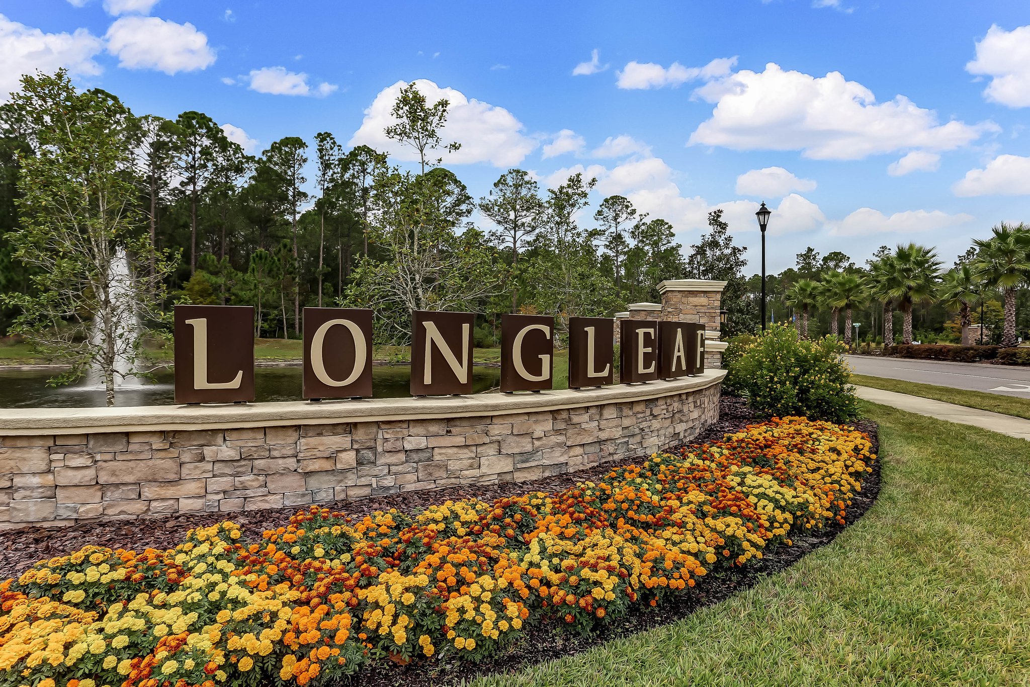 Longleaf