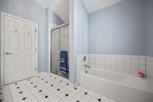  Photo 38